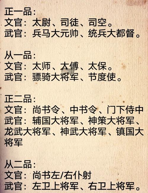 什么样的命格或运势的人适合担任将军职务？
