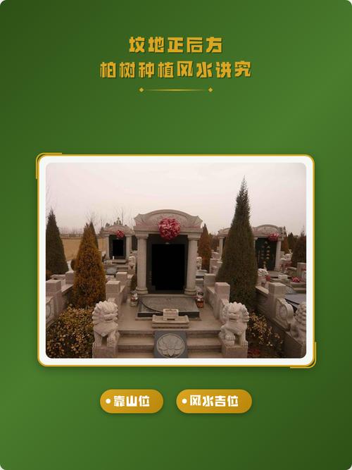 在坟地种植花卉对风水有影响吗？