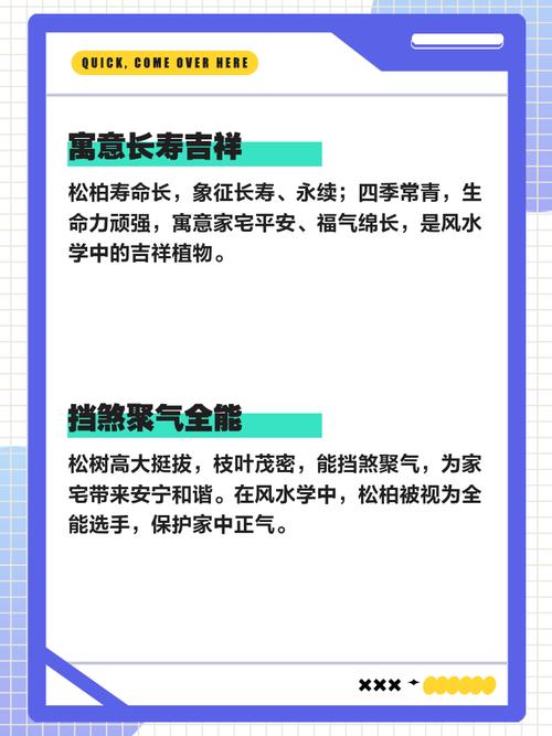 家里养松柏对风水有益处吗？