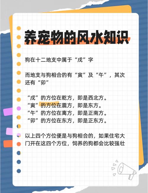 家里养狗真的会对风水产生不良影响吗？