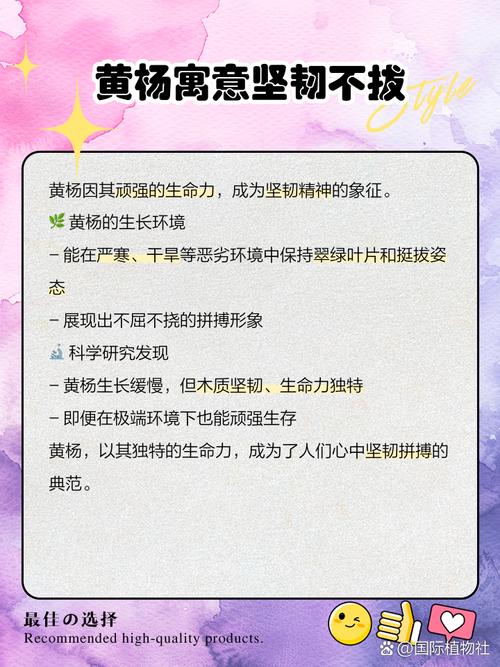 黄杨树的风水寓意有哪些，在民间有哪些说法？