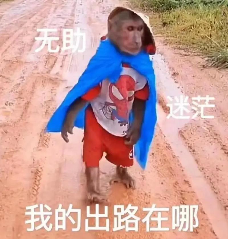 马娄的命也是命，为命也是缘缘也是命，这句话是什么意思？