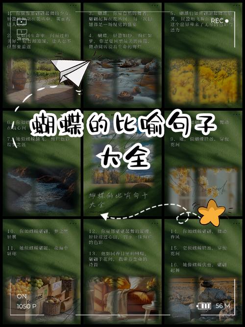 蝴蝶双飞和双蝴蝶命为长尾是什么命意味着双蝴蝶或蝴蝶双飞？