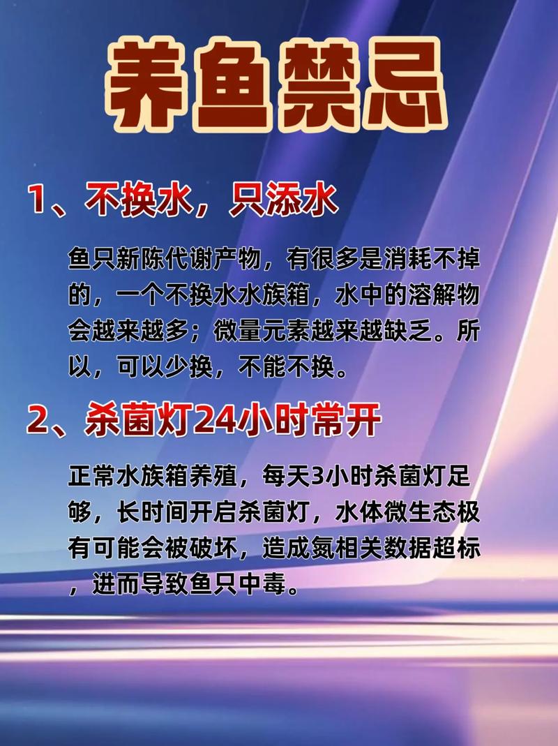 养小鱼真的会对家居风水产生不良影响吗？
