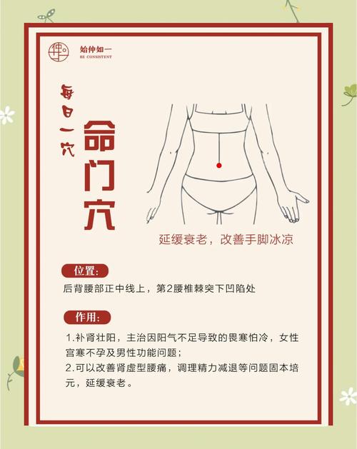 乾命女性最佳命运是什么？女人的命门位于何处？