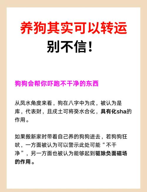 家里养狗对风水布局有影响吗？