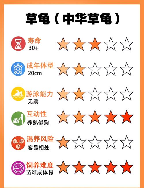 风水养乌龟真的嫩带来好运吗？这其中的吉凶有何依据？