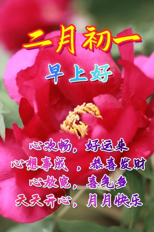 2026年3月19日农历二月初一安门吉吗？这天安门合适吗？