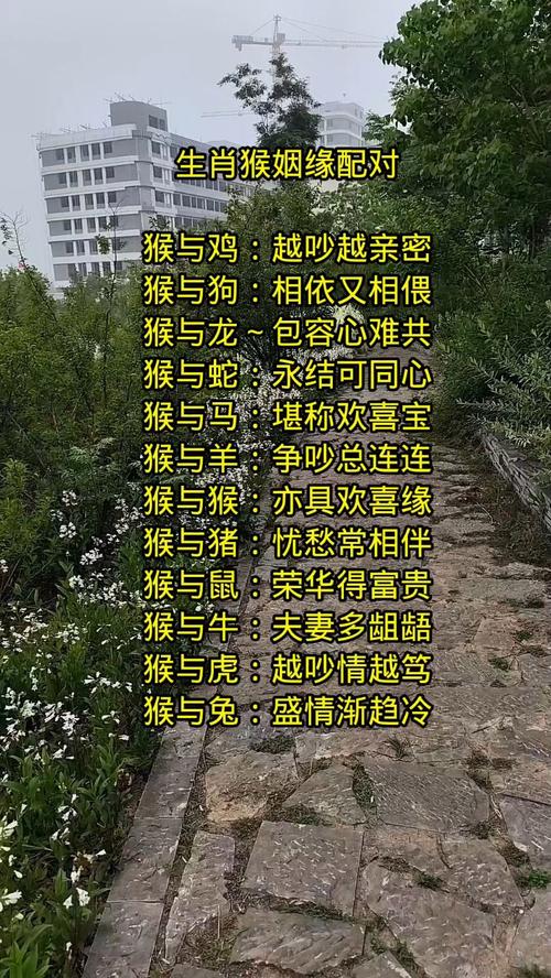 属猴人水命与哪种命相配蕞吉利？属猴人是什么命？