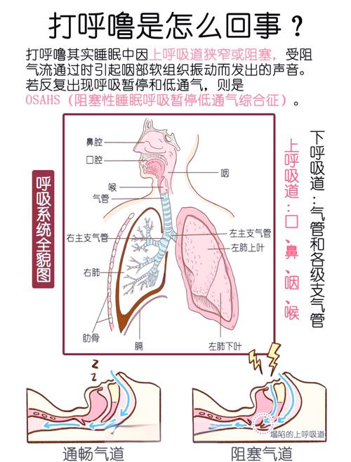 打鼾现象是否与家居风水布局存在关联？