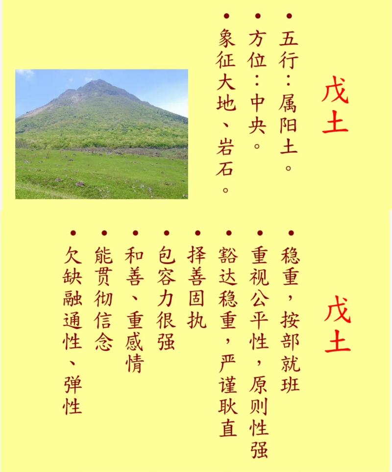 戊土命格是哪一年出生的人所具有的？