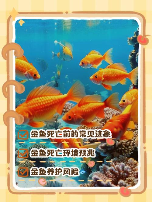 风水鱼对小孩的身心发育有负面影响吗？