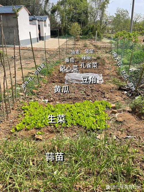 小区适合种植蔬菜吗？这里的地理位置风水怎么样？