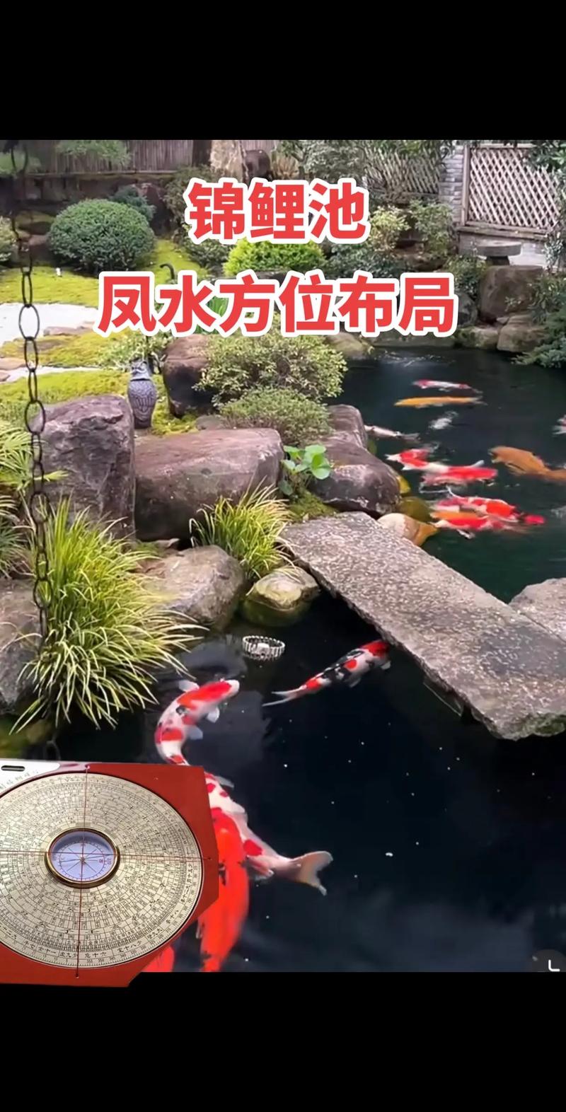 看风水时，鱼池的位置是否需要特别注意呢？
