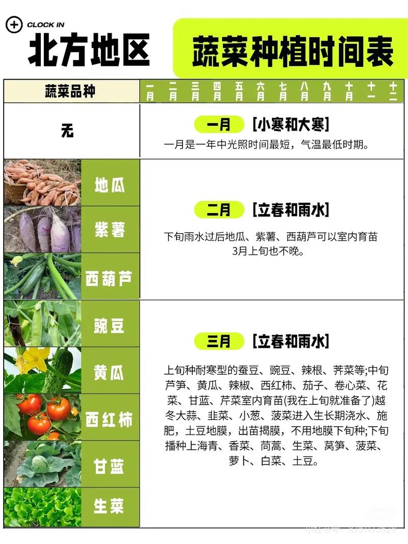 北门这块地适合种植蔬菜，风水条件怎么样呢？