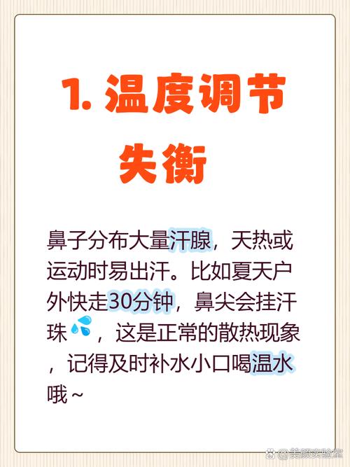 男人鼻头出汗是什么命？鼻头出汗代表哪里虚？