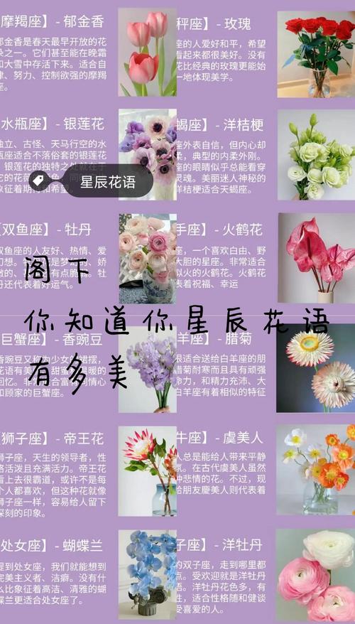 种什么花适合花女命，花女命的含义是什么？