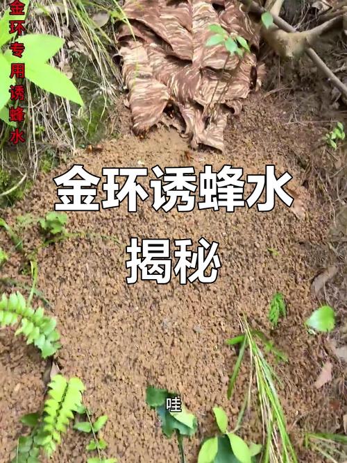 坟墓附近养蜂风水怎么样？