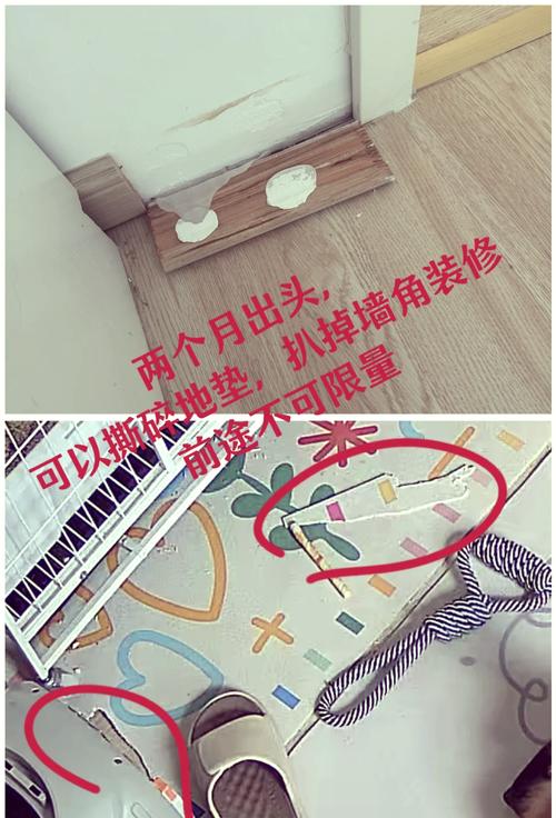 狐狸在家饲养风水适宜吗？