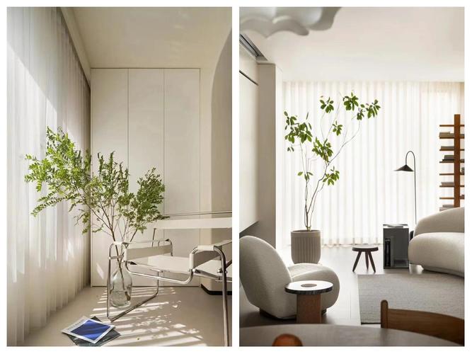 客厅摆放风水植物有什么注意事项？