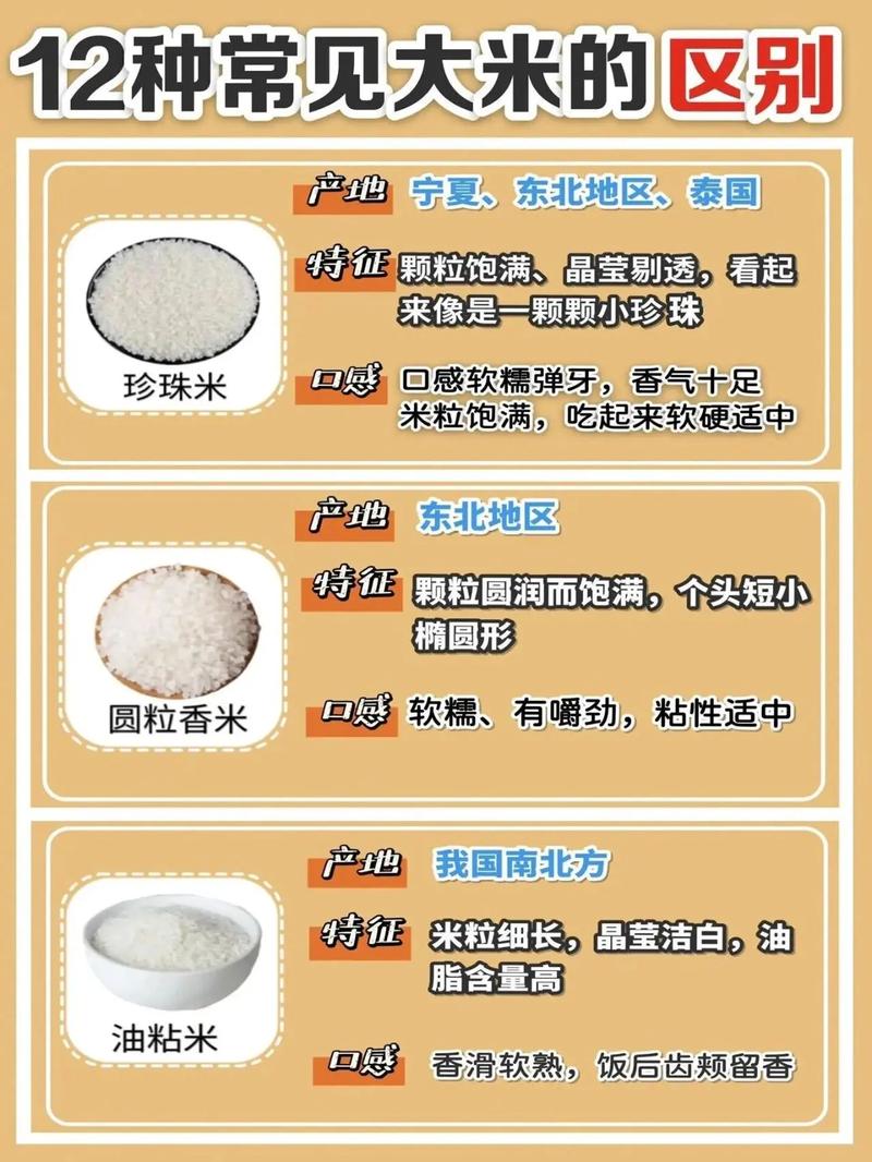 买米时有哪些风水禁忌需要注意呢？