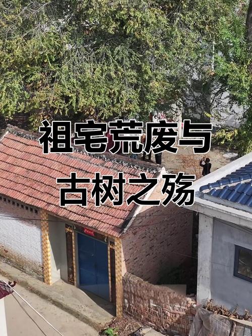 祖屋破损对风水有何具体影响？