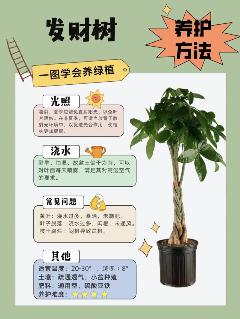 家里种植植物的风水讲究有哪些注意事项？
