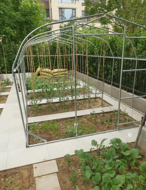 在房屋里种植蔬菜，这样的风水布局是否适宜呢？