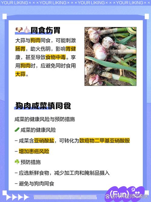 学习风水时为何忌讳同时食用狗肉？