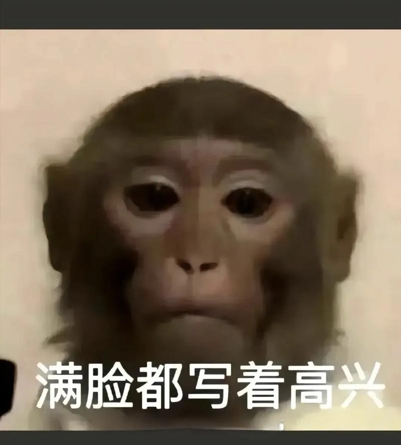 马喽的命不是命，那水马命能否改得好？