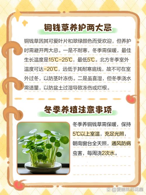 风水上捡花带回家种植，会对家居环境有不良影响吗？