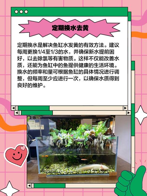 鱼缸脏污是否会对家居风水产生不良影响呢？