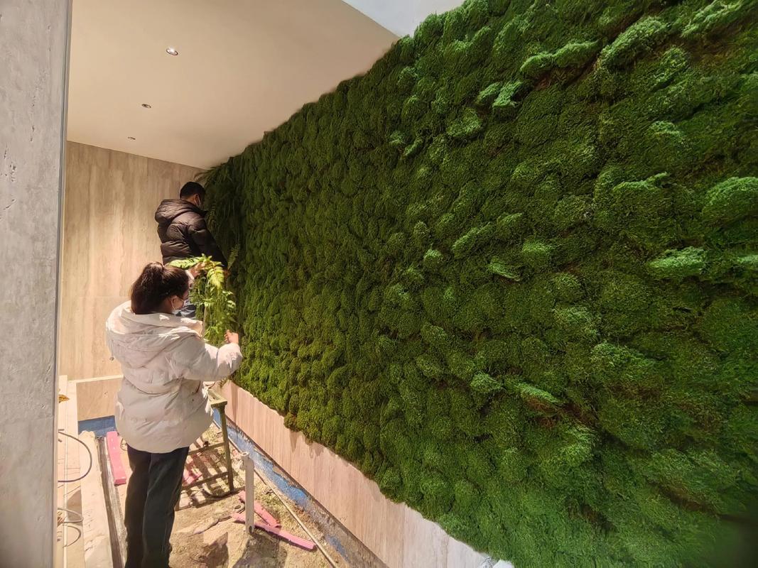 假植物墙对家居风水有怎样的影响或作用？