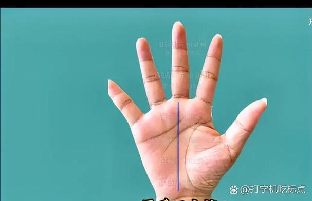 郡主命伏羲骨、玉柱骨与伏羲骨三者有何本质区别？