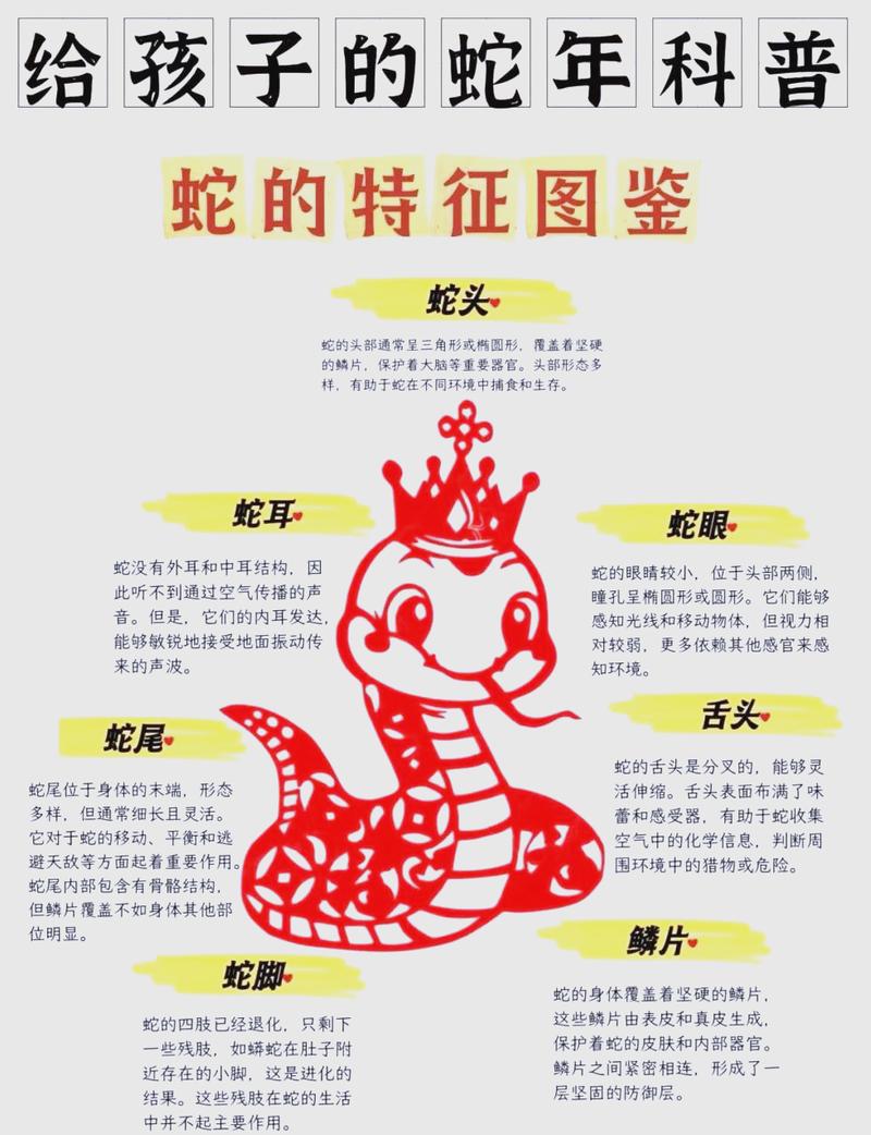 谁有九条命，九个蛇九条命是什么命？