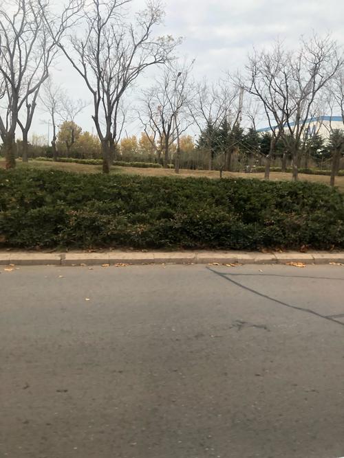 车库放置鞋子会对家宅风水产生不良影响吗？