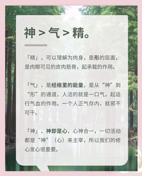 风水宝地是否常年有专人守护，以保灵气充沛？