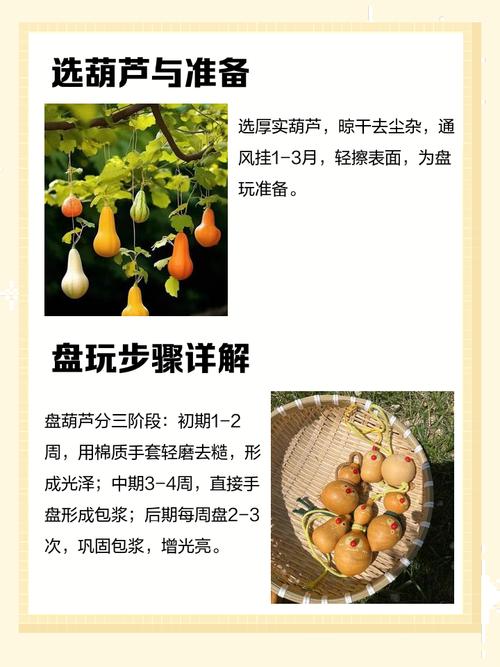 风水葫芦开光有哪些具体方法和步骤？