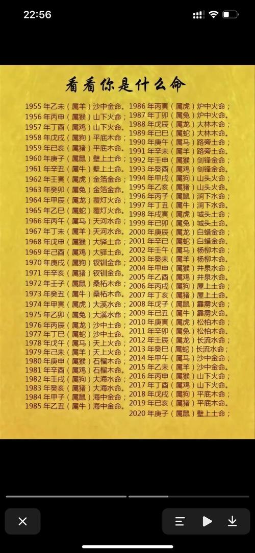 2017年属什么命？阴历2017年是什么命？