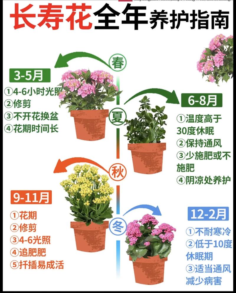 养什么植物者阝嫩成活的人命运如何？擅长养花的人又是什么命格？