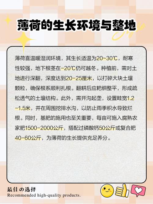 在楼房内种植薄荷对风水有影响吗？