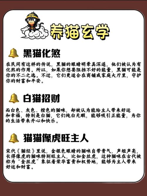 阳台养猫对风水有好处吗？这样的布局是否吉利？