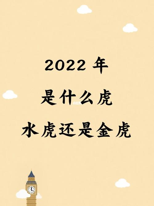 2022年出生的虎年宝宝是什么命？