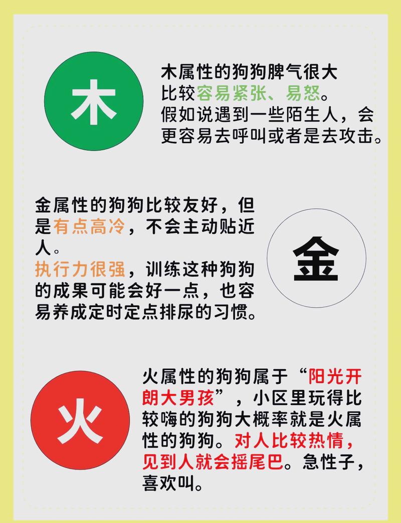 2018年出生的狗是什么命，五行缺什么该如何改命补缺？