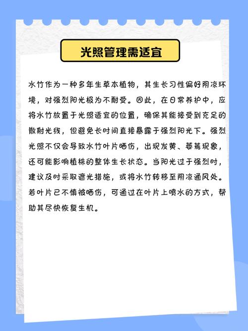 河边种植毛竹风水如何？适合种植吗？