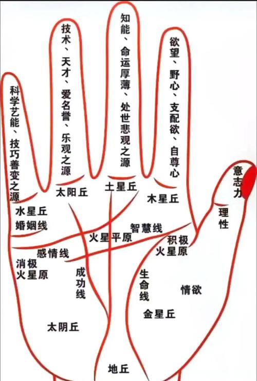 哪种手纹被认为命运最差？哪种手纹被认为是命运最好？