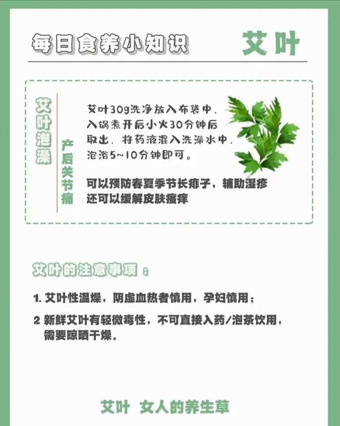 家里种植艾叶会对风水产生怎样的影响呢？