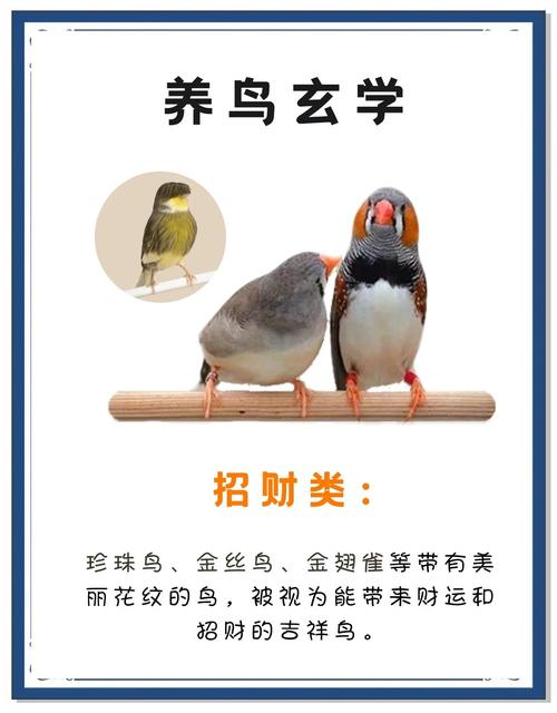 喜欢养鸟的人命运如何？养鸟者的心态是怎样的？