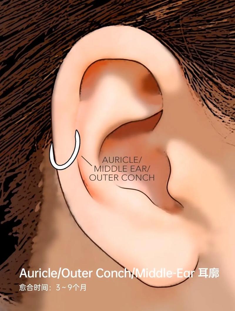 耳骨打洞会对家宅风水产生怎样的影响？