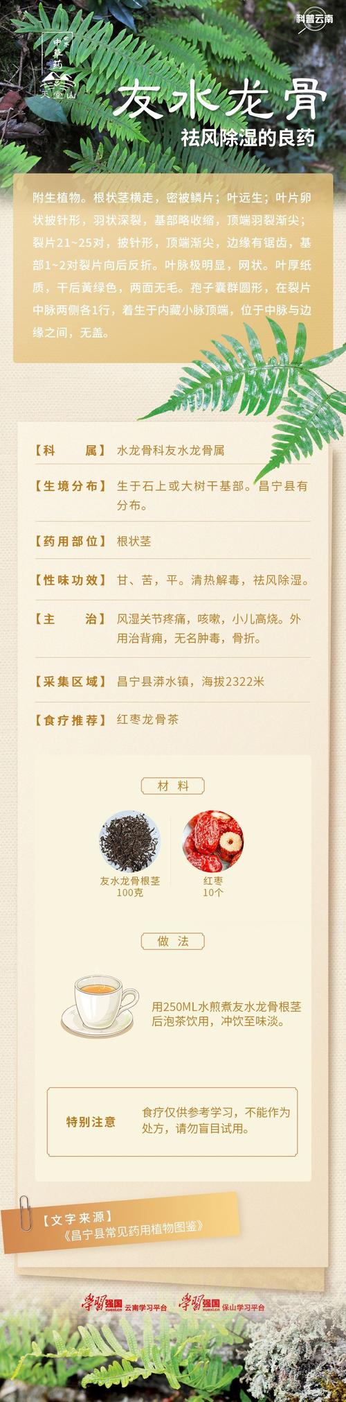 好风水真的嫩对骨头健康起到滋养作用吗？